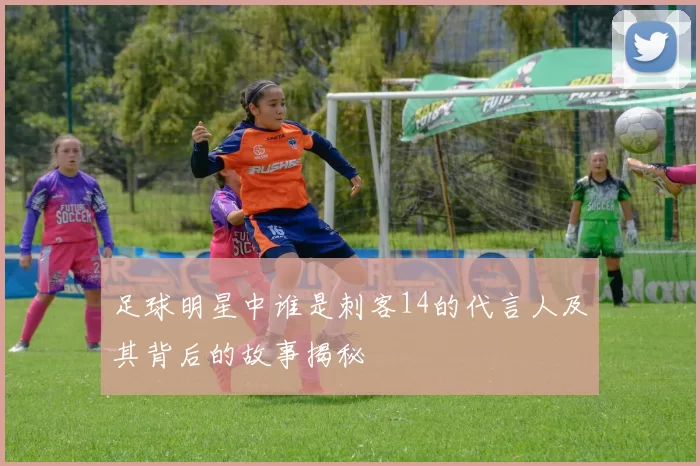 足球明星中谁是刺客14的代言人及其背后的故事揭秘