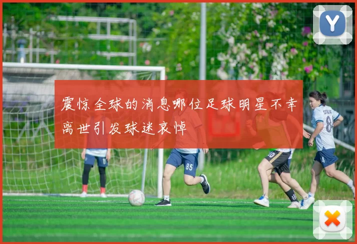 震惊全球的消息哪位足球明星不幸离世引发球迷哀悼