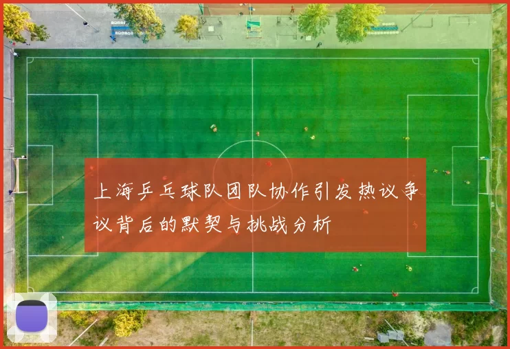 上海乒乓球队团队协作引发热议争议背后的默契与挑战分析