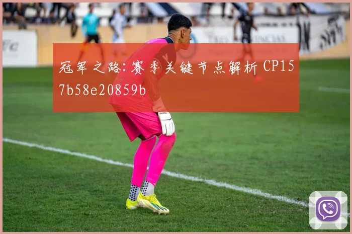 冠军之路:赛季关键节点解析 CP157b58e20859b