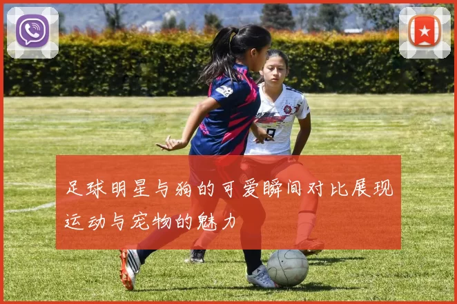 足球明星与狗的可爱瞬间对比展现运动与宠物的魅力