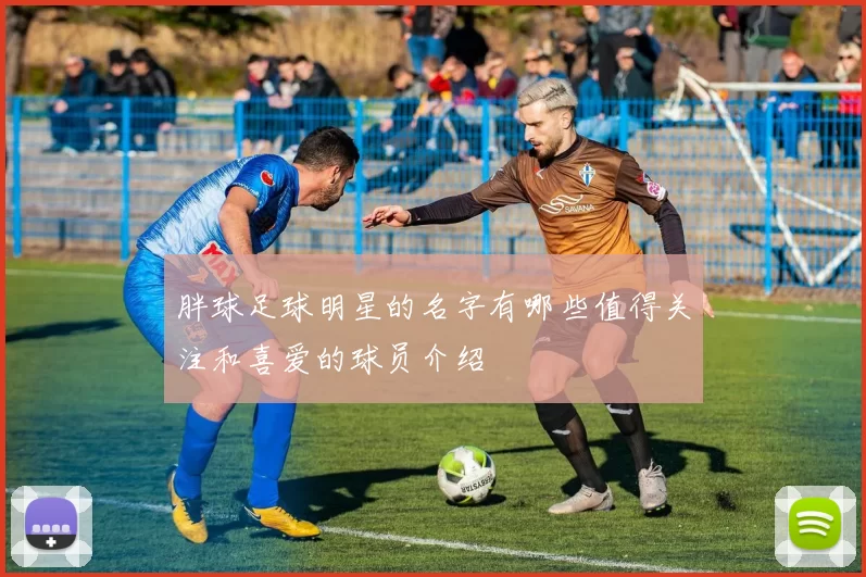 胖球足球明星的名字有哪些值得关注和喜爱的球员介绍