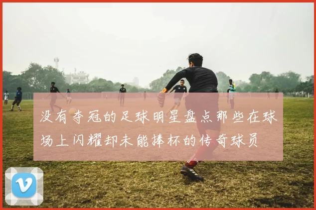 没有夺冠的足球明星盘点那些在球场上闪耀却未能捧杯的传奇球员
