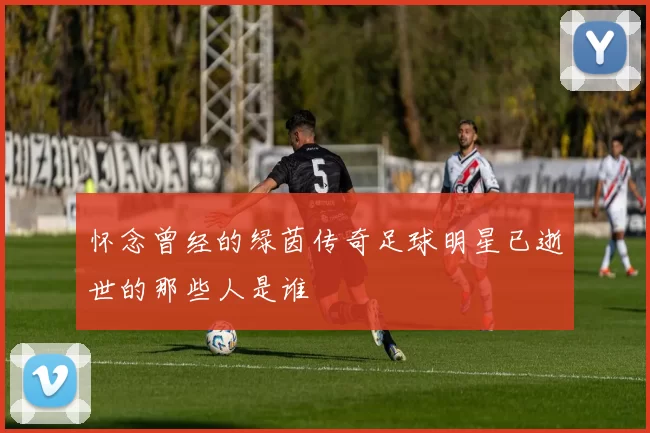 怀念曾经的绿茵传奇足球明星已逝世的那些人是谁