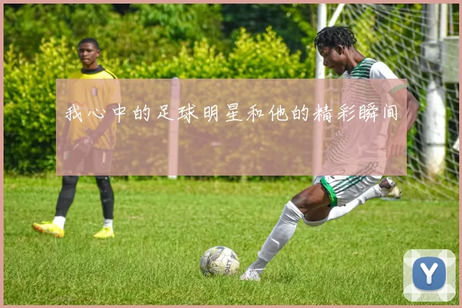 我心中的足球明星和他的精彩瞬间