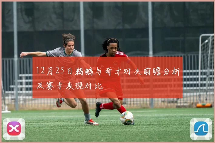12月25日鹈鹕与奇才对决前瞻分析及赛季表现对比