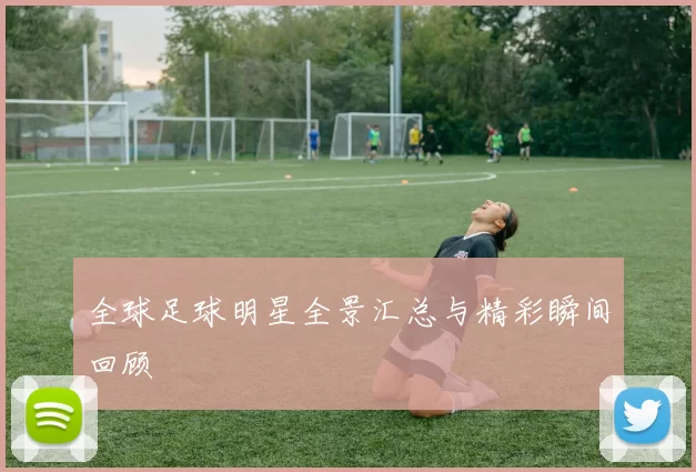 全球足球明星全景汇总与精彩瞬间回顾