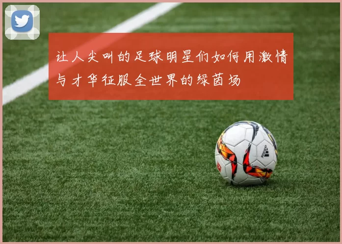 让人尖叫的足球明星们如何用激情与才华征服全世界的绿茵场